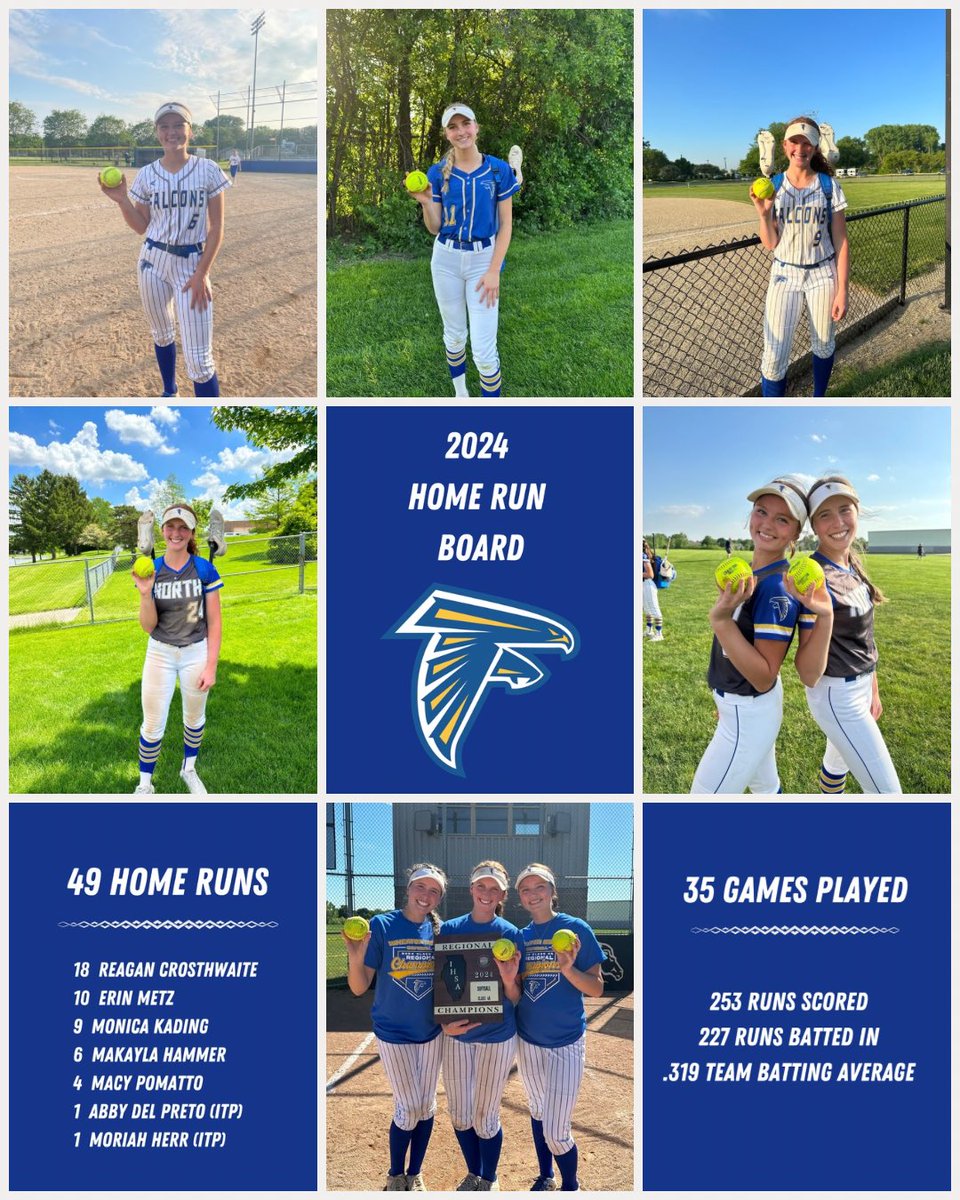 Wheaton North Softball tweet media