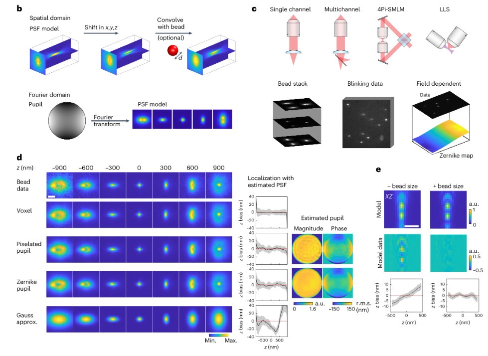 Nature Methods (@naturemethods) on Twitter photo Out today from <a href="/JonasRies/">Jonas Ries</a> and <a href="/YimingLi_SZ/">Yiming Li</a>! Universal inverse modeling of point spread functions (uiPSF), a toolbox to infer accurate PSF models from localization microscopy data. nature.com/articles/s4159… Out today from <a href="/JonasRies/">Jonas Ries</a> and <a href="/YimingLi_SZ/">Yiming Li</a>! Universal inverse modeling of point spread functions (uiPSF), a toolbox to infer accurate PSF models from localization microscopy data. nature.com/articles/s4159…