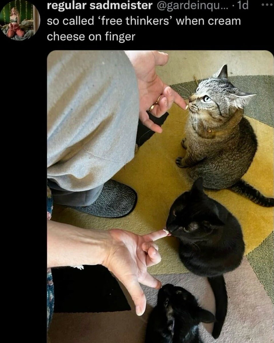 Goblin Moder tweet media