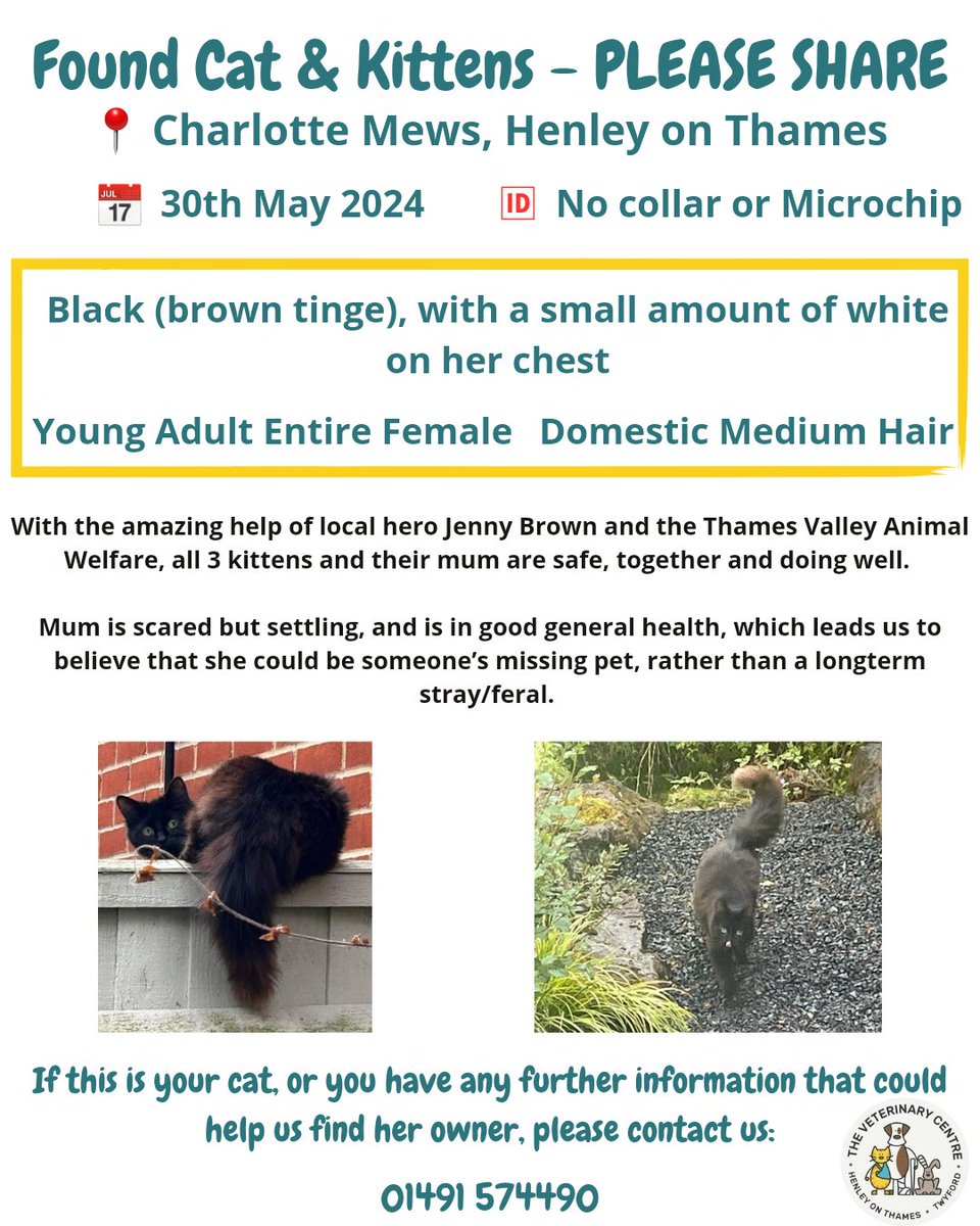 henleyvets's tweet photo. Is this your girl, or do you know who she might belong to?
She and her kittens are safe and settling in well with us, but it would be lovely to get this little family home π.
#foundcat #LOSTCAT #foundcathenleyonthames #localvets #henleyonthames #independentvets https://t.co/uaOAkFXBvh