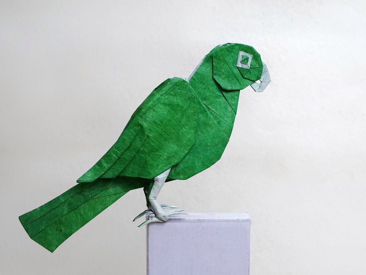 Parrot 
Designed and folded by Me <a href="/MannaSampreet/">Sampreet Manna</a> 
From 30cm × 30cm DT