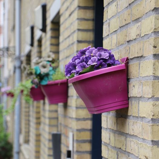 Gewoon fijn als je het gezellig maakt in je straat, doen!
En vergeet niet leuke foto's met Hillesluis te delen, stuur ze in. 📸

Stuur zelf jouw nieuws, info over activiteiten, tips, hulpvragen in tinyurl.com/krxcvvrm

#TeamHillesluis
