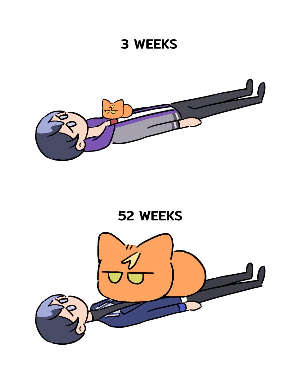 _h4chiiisok's tweet image. 