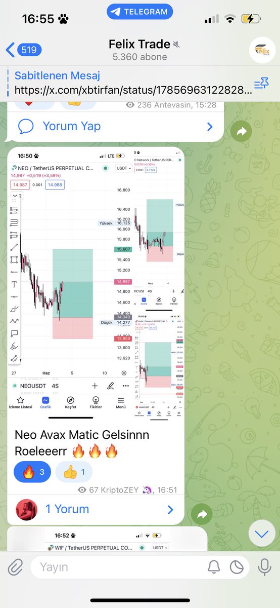 Felix Trade ve keyfi yerinde kanal sakinleri 🫠🫠🫠🧡 @FelixTradeCap