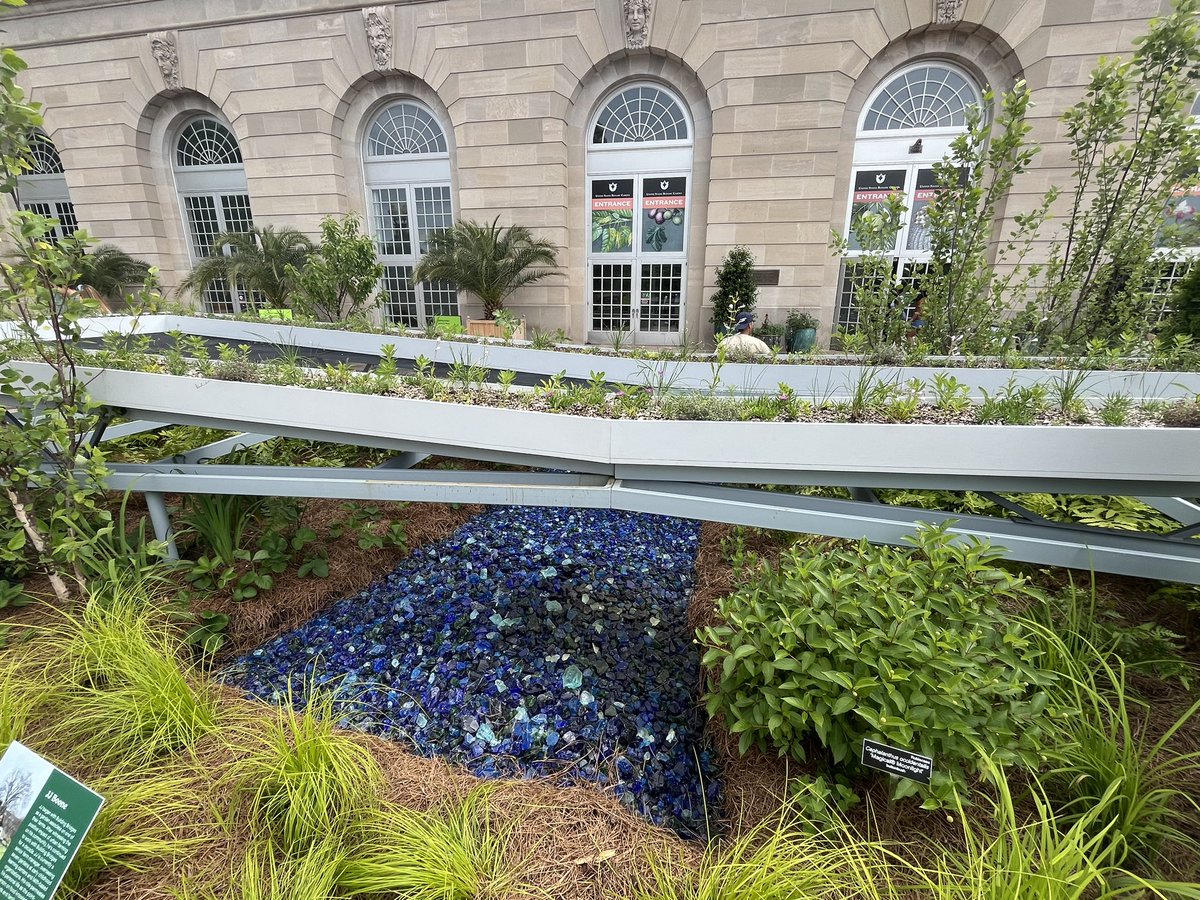 WDCGardener's tweet photo. Had a great time showing fellow @DCEcoWomen around the @usbotanicgarden yesterday with @roshanipkothari #gardendc #dc #dmv #greendc #dcgreen https://t.co/PVfFrhF3Sh