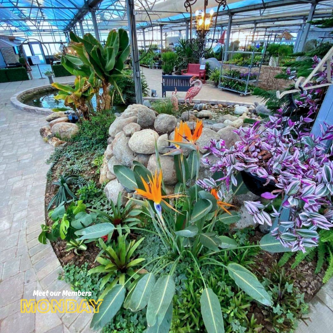 Brandon First : Experience Your Event Here tweet media