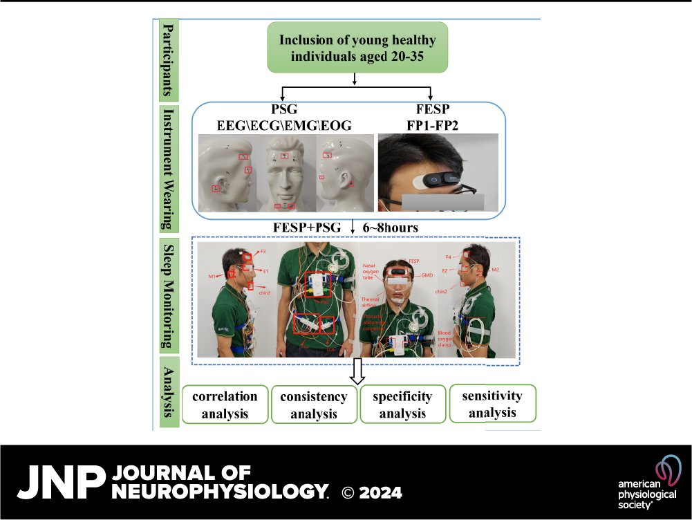 JNeurophysiol's tweet photo. 💤🛏️Comparative analysis of sleep parameters and structures derived from wearable flexible electrode sleep patches and #polysomnography in young adults (Yuqi Wang et al.)
https://t.co/agBX98r4mo
#FlexibleElectrodeSleepPatch #SleepDisorders #SleepMonitoring #SleepParameters https://t.co/xflRGjqxpO