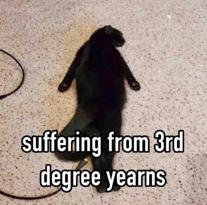 Venrixia's tweet image. Literally me