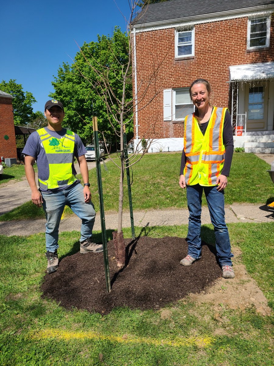 UGI_Utilities's tweet photo. UGI Utilities employees recently volunteered with the City of Harrisburg to plant trees in the neighborhood around the Wilson Park area. Thanks for your hard work, volunteers! https://t.co/XT6Z8kvvL0
