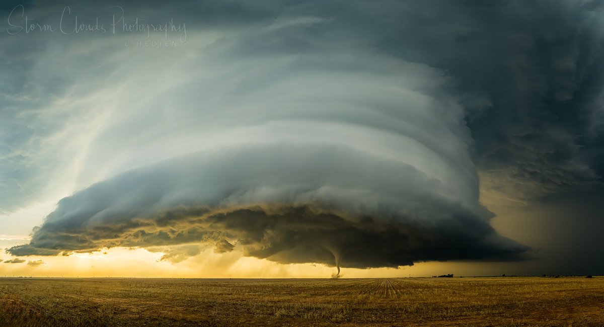 Laura Hedien- Storm Clouds Photography tweet media
