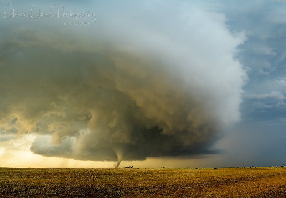Laura Hedien- Storm Clouds Photography tweet media