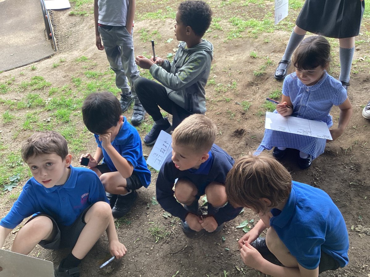 We have been exploring our school grounds to sort and classify things according to whether they are living, dead or never alive. #OWPSscience 🐝🍂🪨