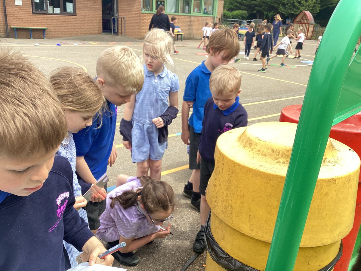 OWPSturtles tweet media