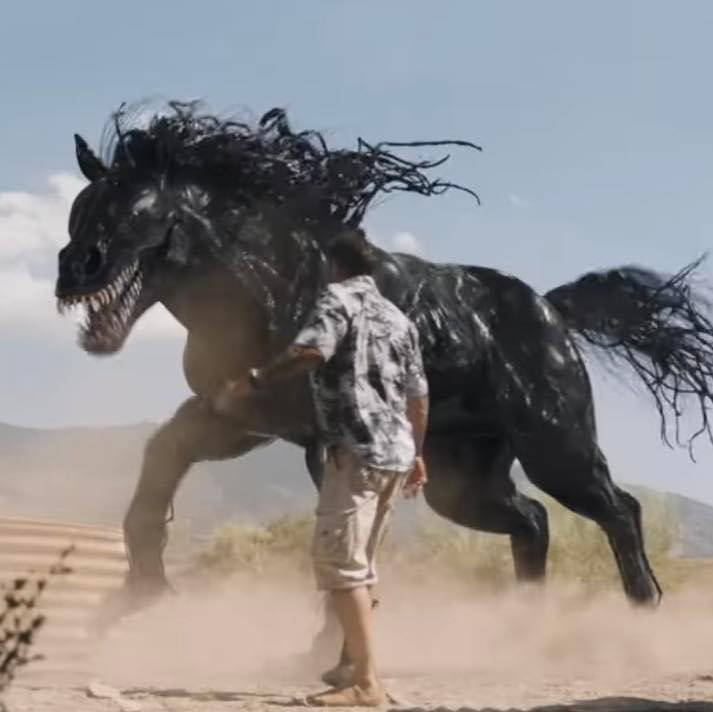 Caballohomosexualdelasmontañaaaaas