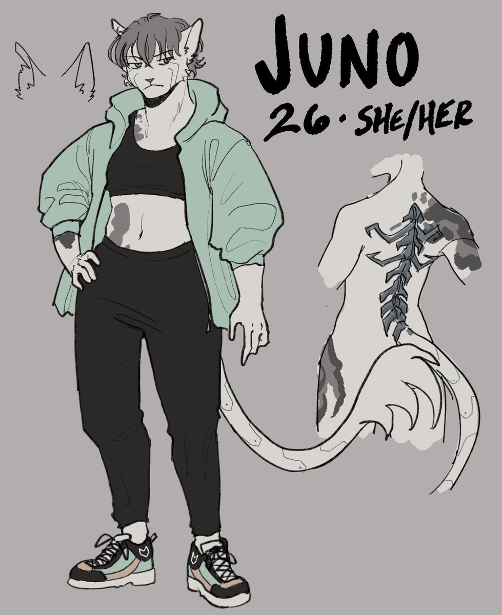 meteorstray's tweet photo. finished 2 refs yesterday as part of art fight prep :3c https://t.co/Qztq7apCj6