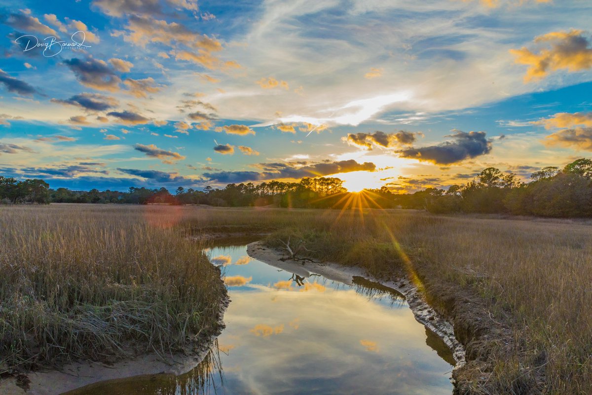 DougBarnardPics's tweet photo. Sunburst cloudscape over Mt Pleasant, SC
#DiscoverSC #charleston #lowcountry #southcarolina #holycity #potd #explorecharleston #charlestonsc #PalmettoState #carolina #CanonUSA #SoCharleston #VisitChs #VisitSC #Sunset #MtPleasant #Seascapes #Landscapes #cloudscapes https://t.co/t7OcZpGYmr