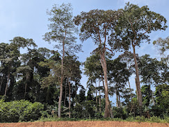 ICornut's tweet image. Un poste d&apos;assistant ingénieur ouvre dans notre UMR @UMR_EcoSols. Envie de concevoir et de mettre les instruments pour la recherche de pointe en sciences de l&apos;environnement ? Venez rejoindre l&apos;équipe pour instrumenter des sites de la Méditerranée aux tropiques !