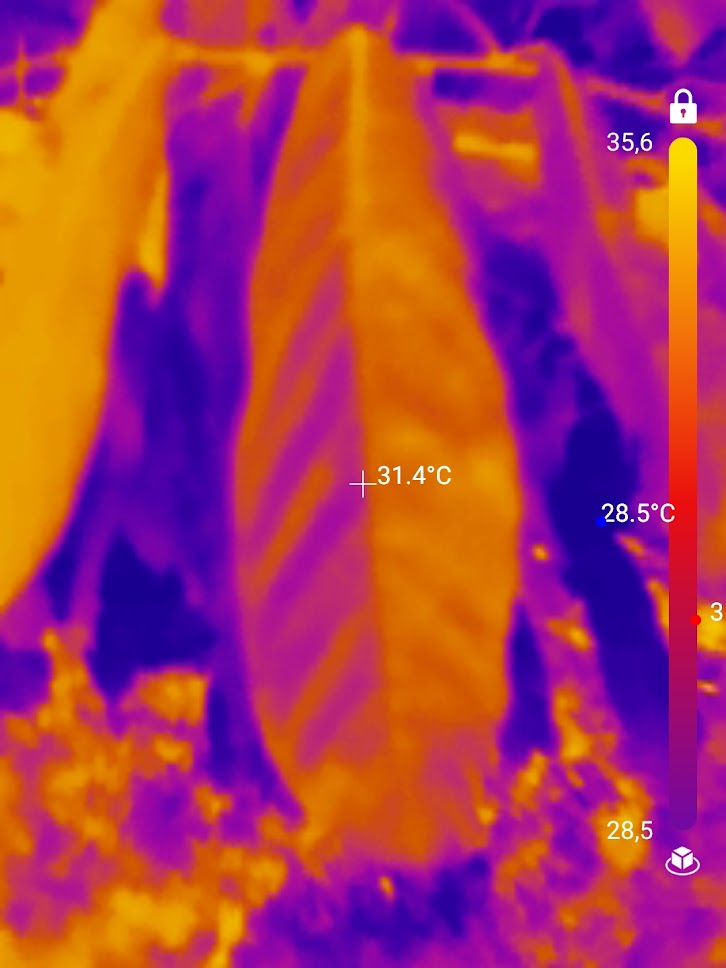 ICornut's tweet image. Un poste d&apos;assistant ingénieur ouvre dans notre UMR @UMR_EcoSols. Envie de concevoir et de mettre les instruments pour la recherche de pointe en sciences de l&apos;environnement ? Venez rejoindre l&apos;équipe pour instrumenter des sites de la Méditerranée aux tropiques !