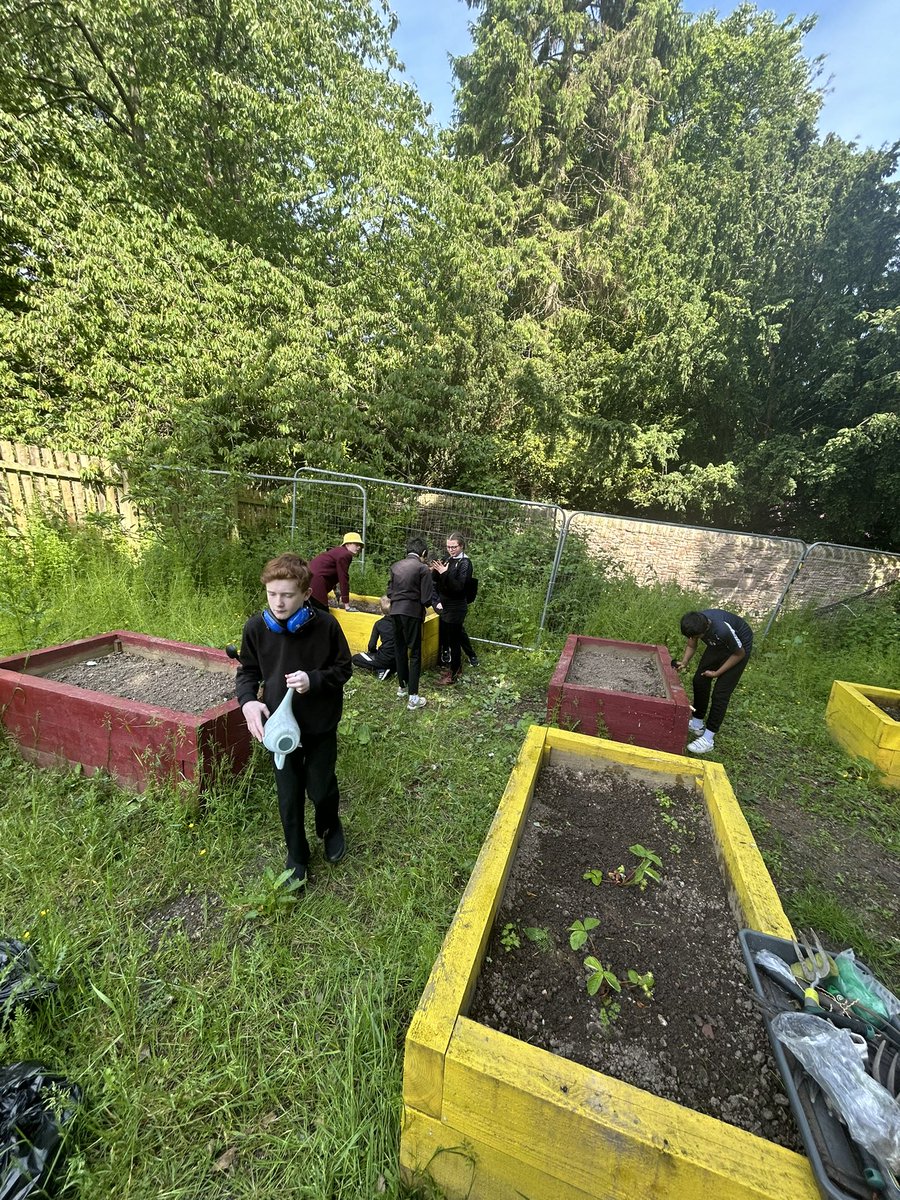 HarrisSfL tweet media