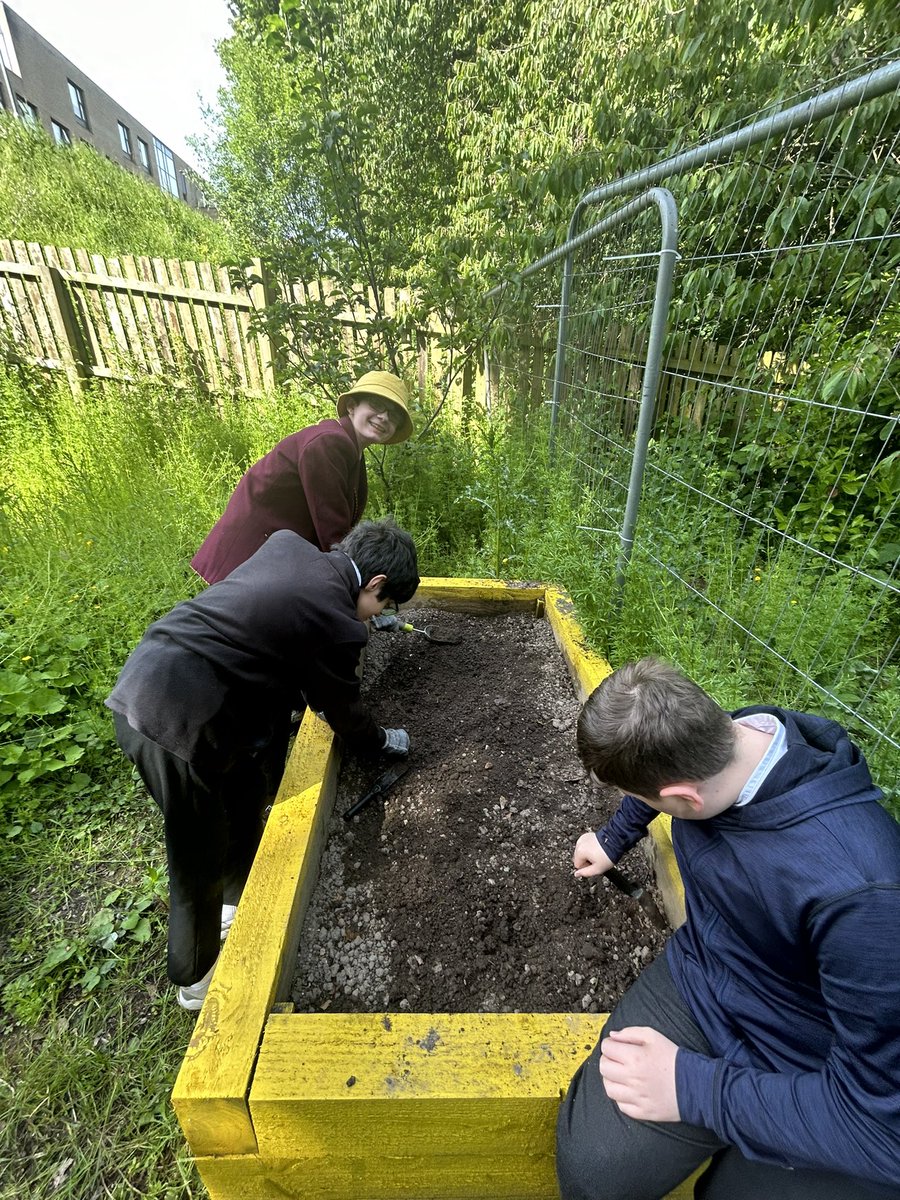 HarrisSfL tweet media