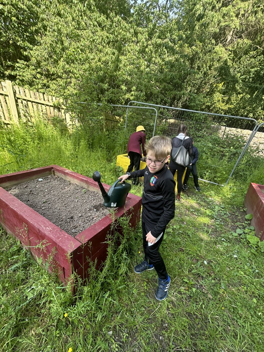 HarrisSfL tweet media