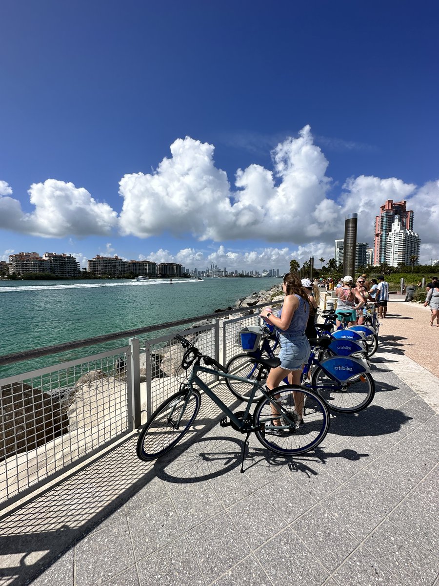 The Miami Guide tweet media