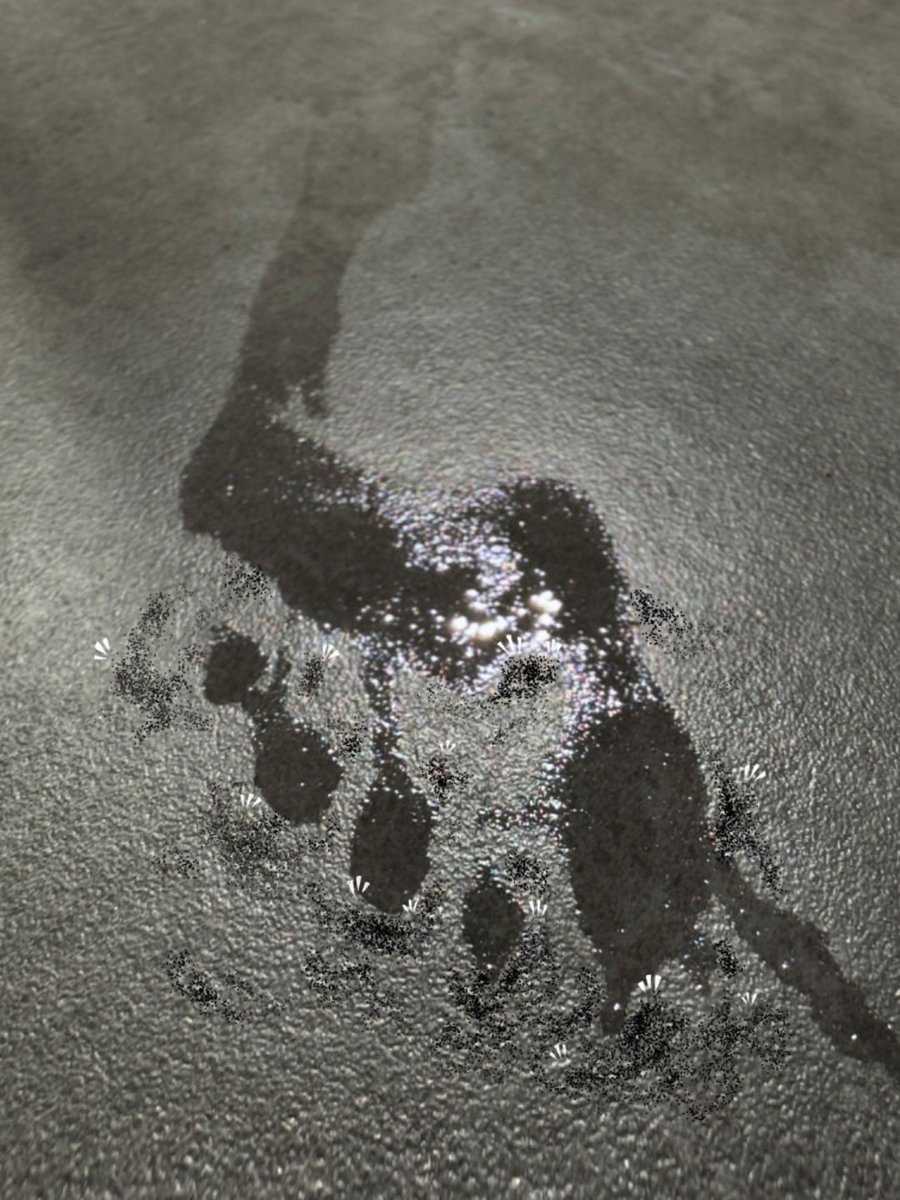 好多小人聚在我的脚印周围啊 毕竟是附近唯一的水源呢🥺