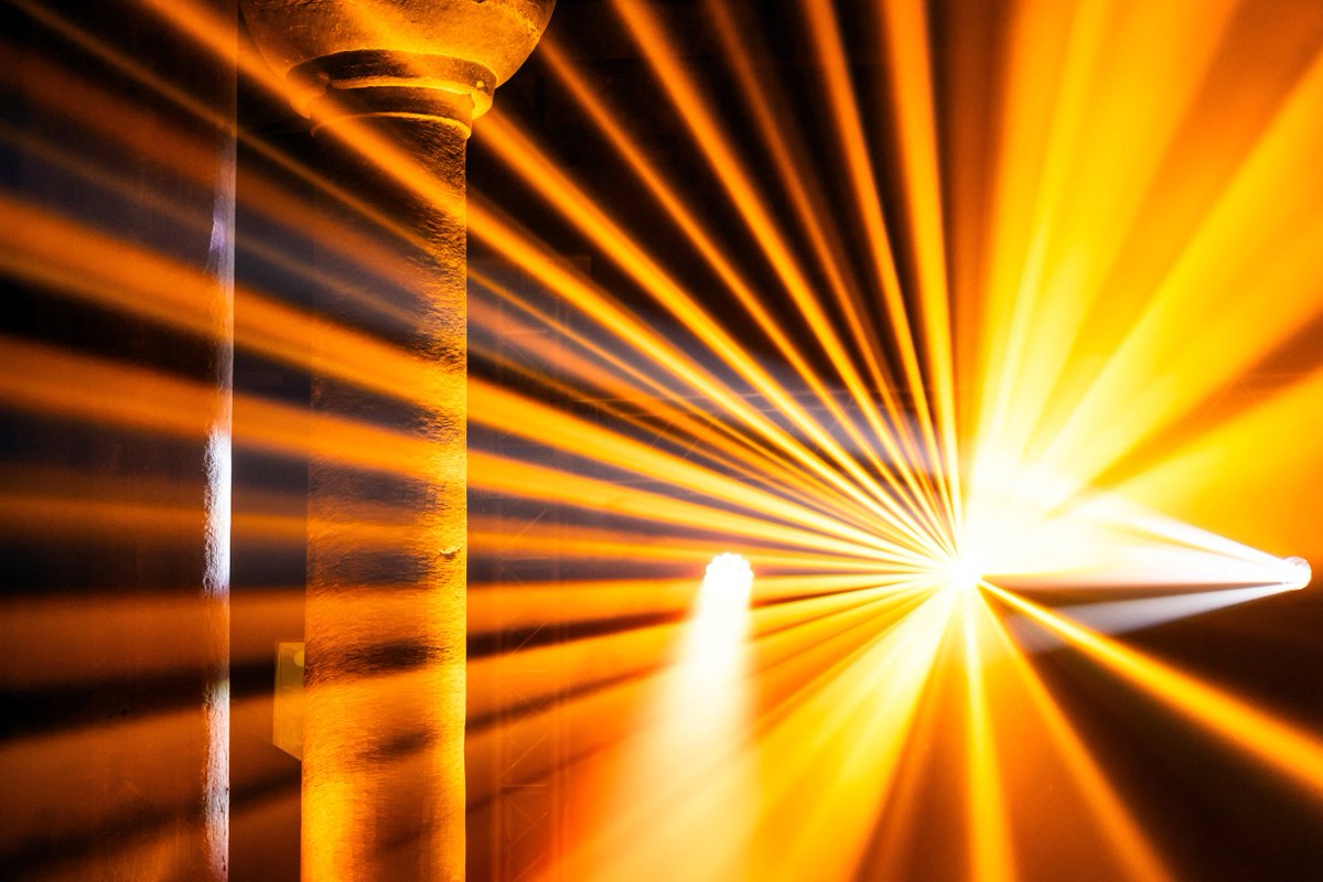 Phenotypeca tweet media