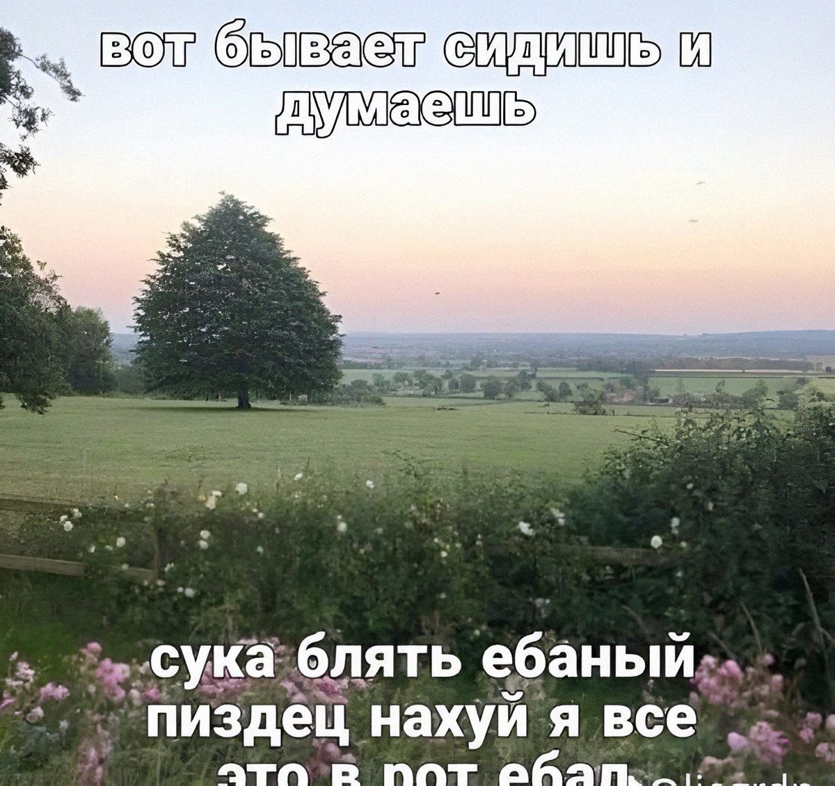 Ritsu_Despair's tweet photo. Прочувствовала. https://t.co/UTsThxzdok