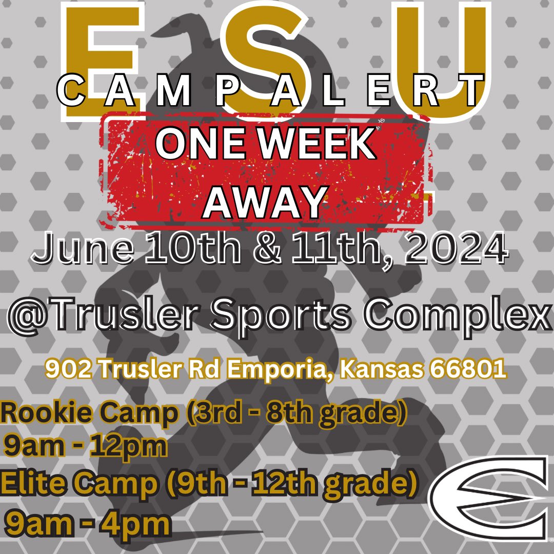 Our Elite Camp and Rookie Camp is just 1 WEEK AWAY!!! Make sure you sign up today to get a great experience with ESU coaching staff and players!

esuhornetsoftballcamps.com