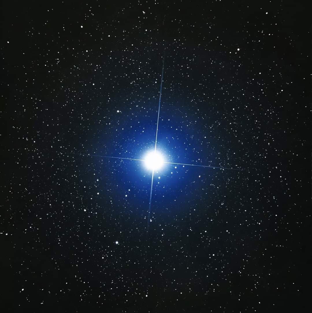 Sirius, the brightest star in the night sky.  

📷 Akira Fujii