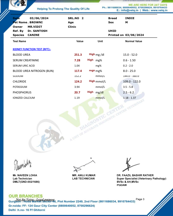 TheViditsharma's tweet image. The reports are heartbreaking. This dog is suffering from kidney disease, and his hemoglobin is dangerously low. His health parameters are deteriorating rapidly. Please keep him in your kind prayers.  #PrayForHealing #AnimalWelfare #CompassionNeeded