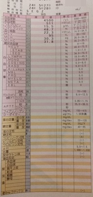 健診 2024 二枚目