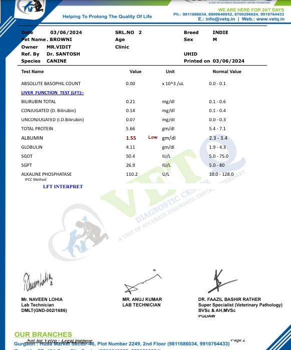 TheViditsharma's tweet image. The reports are heartbreaking. This dog is suffering from kidney disease, and his hemoglobin is dangerously low. His health parameters are deteriorating rapidly. Please keep him in your kind prayers.  #PrayForHealing #AnimalWelfare #CompassionNeeded