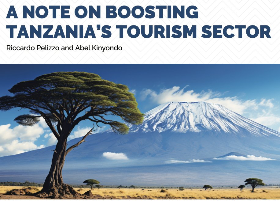 Tourism is a critical sector that has partly been responsible for an impressive socioeconomic development in Tanzania over the past decade. However, We note that a lot more could have been achieved from the sector if a more comprehensive approach is employed!
