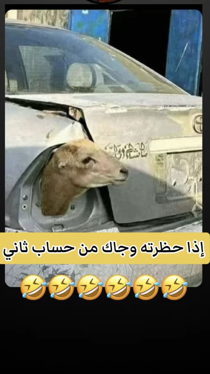 yyujdfr (@12gyftw) on Twitter photo 