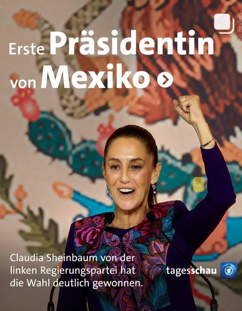 Armes Mexiko, was für eine Schande, ich habe mich noch nie so geschämt, Mexikaner zu sein, wie jetzt, um ehrlich zu sein. Eine echte Schande, dass mein Land beschlossen hat, die Korrupten, die Kriminellen, die Mörder und die Lügner zu belohnen.