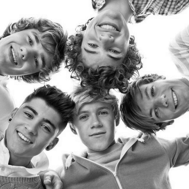 onedfess's tweet photo. [1D] Orang gila mana yg udah tau group band nya ghoib, udah bubar, tapi masih setia jadi fansnya? Yuk kumpul sini para orgil 🙌🏻 reply with photo of ur bias/ fav member https://t.co/GnmgD6kWQI