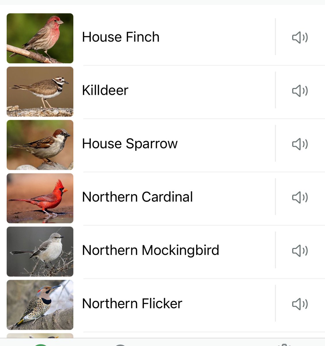 kerry nolan tweet media