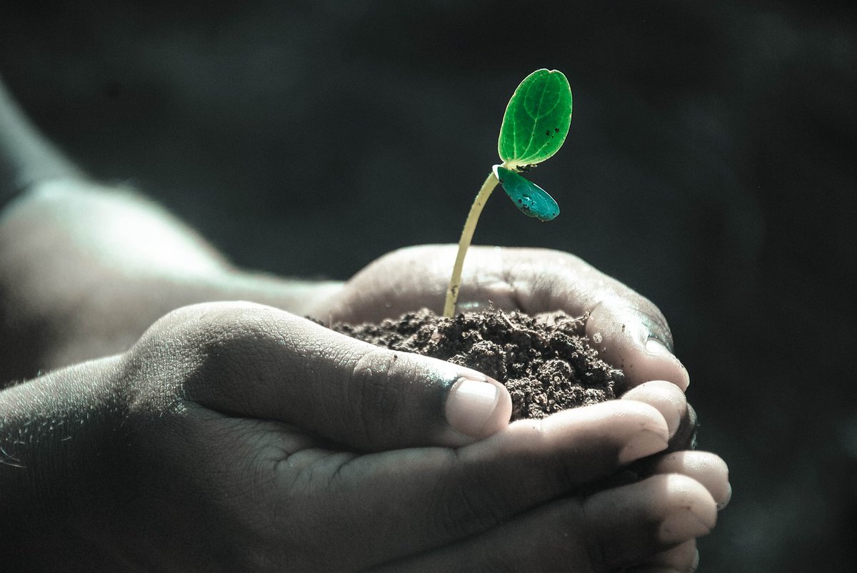 We are delighted to report on the progress of our influential Soils and Stones project, which brings together experts to inspire policy change and share good practice.

Read the report and our calls to action here👉socenv.org.uk/socenv-issues-…

#soilsandstones #SILOtoSOIL