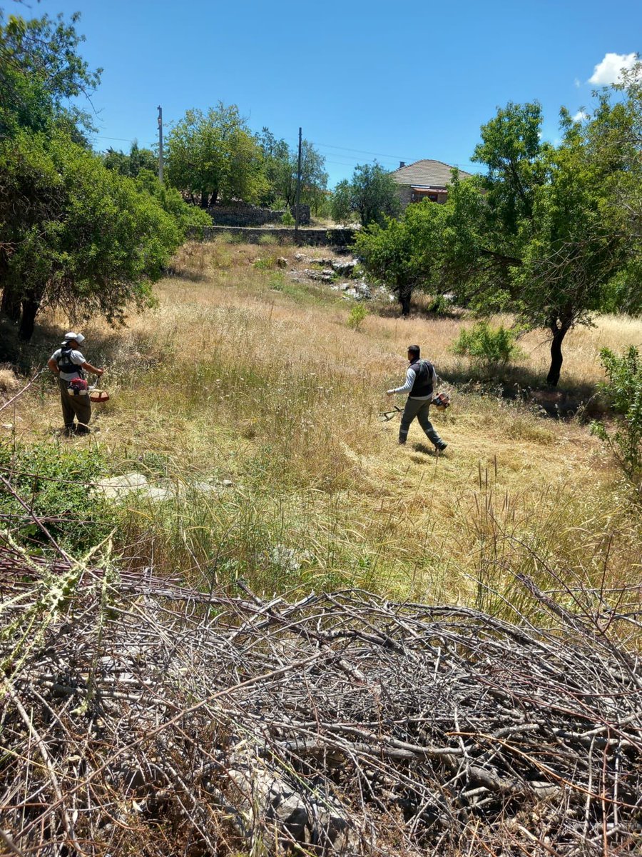 Belediyemiz Fen İşleri Müdürlüğüne bağlı ekiplerimizce, #Sarıhaliller Mahallemizde 
yabani ot temizliği ve genel temizlik çalışmaları devam ediyor. 🧹✅

Tertemiz bir #Akseki için çalışıyoruz!