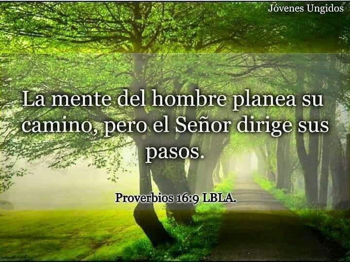 Seamos concientes que podriamos tener la capacidad de planear con la mente el camino a seguir....PERO DEBEMOS SABER QUE ES EL SEÑOR QUIEN GUIA NUESTROS PASOS , 
SUS TIEMPOS SON PERFECTOS,
CONFIEMOS EN EL!!!🙏🏻
Buen inicio de semana, la 1a de junio 🌻😊