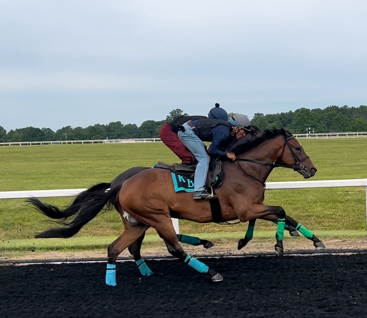Keri145's tweet photo. Nothing separated our two entries for Sunday’s Grade 1 Steeplechase working yesterday. Both came out of the work in great form and we are excited for Sunday 🙏🏻 #JimmyP #FreddyFlintshire @TheNYRA @UplandFlats @AFRUKUS @MadaketStables https://t.co/E2gk4HqwLd