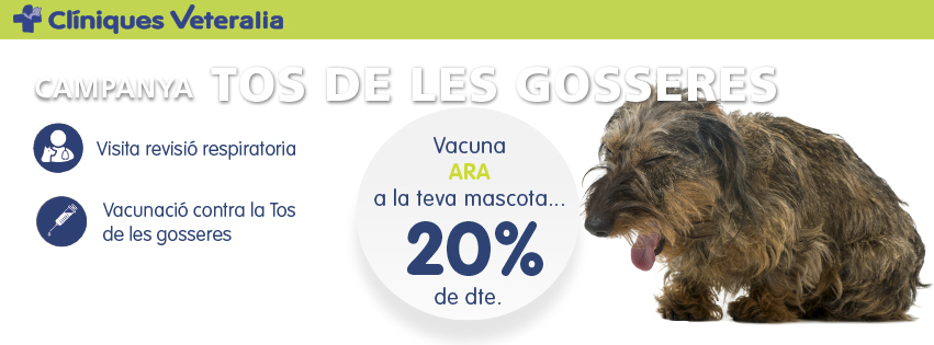 Veteralia's tweet photo. Aquest #juny iniciem #campanya. I com que la incidència de la malaltia s'incrementa en aquestes èpoques, us volem ajudar a prevenir #problemesrespiratoris de la vostra #mascota.

Informa't al teu #CentreVeteralia de confiança sobre la campanya i com pots ajudar al teu pelut! https://t.co/U9L4WQiD6L