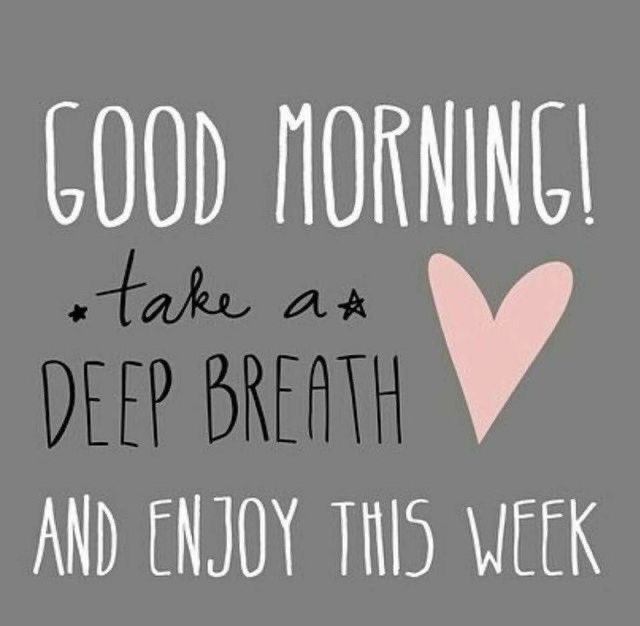 MissBatchelor tweet media