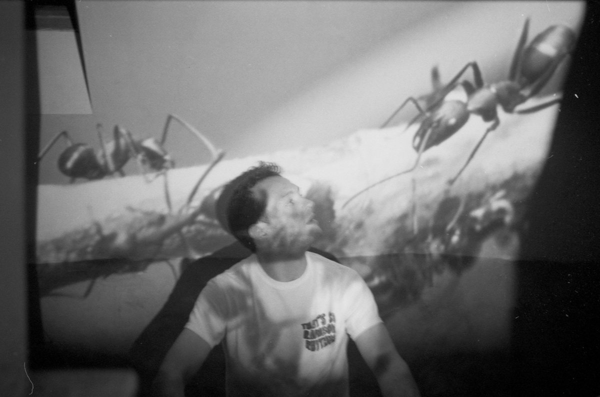 Hoopla Blue tweet media