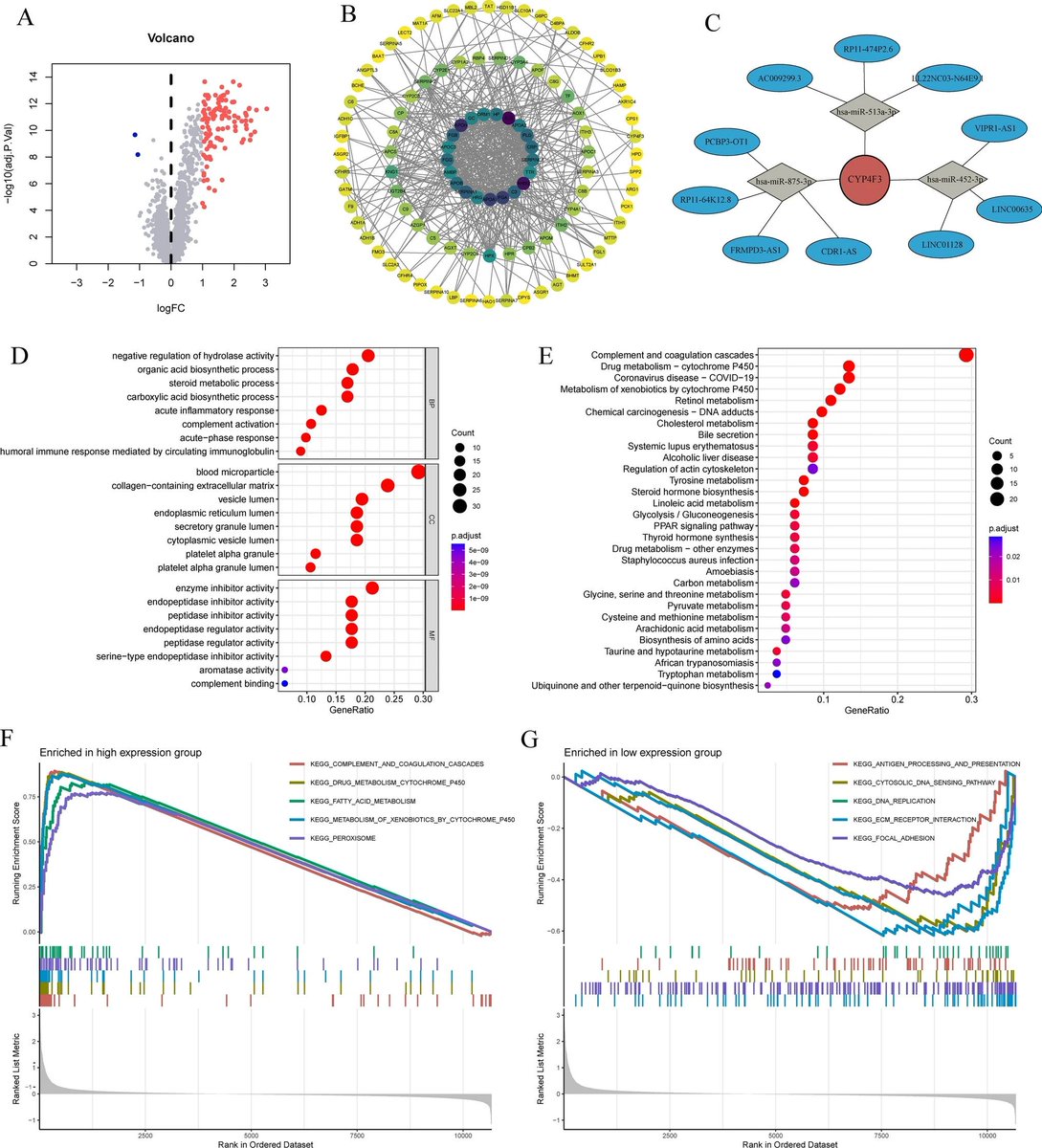 CLEM - Clinical and Experimental Medicine (@ClemJournal) / Posts / X