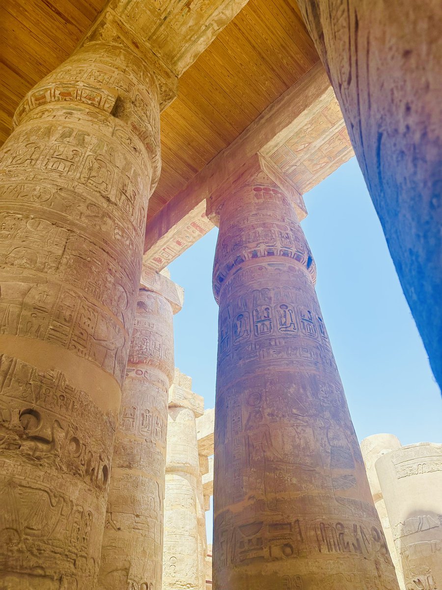 Prof Janina Ramirez tweet media