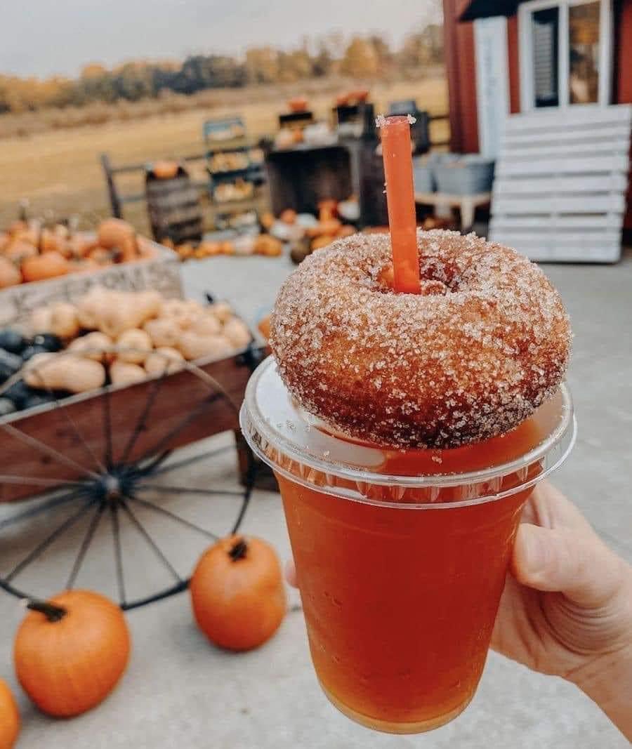 aperfectpumpkin's tweet photo. Mentally I’m here https://t.co/tXryO1TWfd