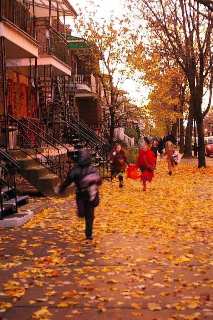 aperfectpumpkin's tweet photo. Mentally I’m here https://t.co/tXryO1TWfd